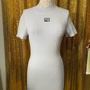 Alexander Wang Dress Crew Neck Mini Dress